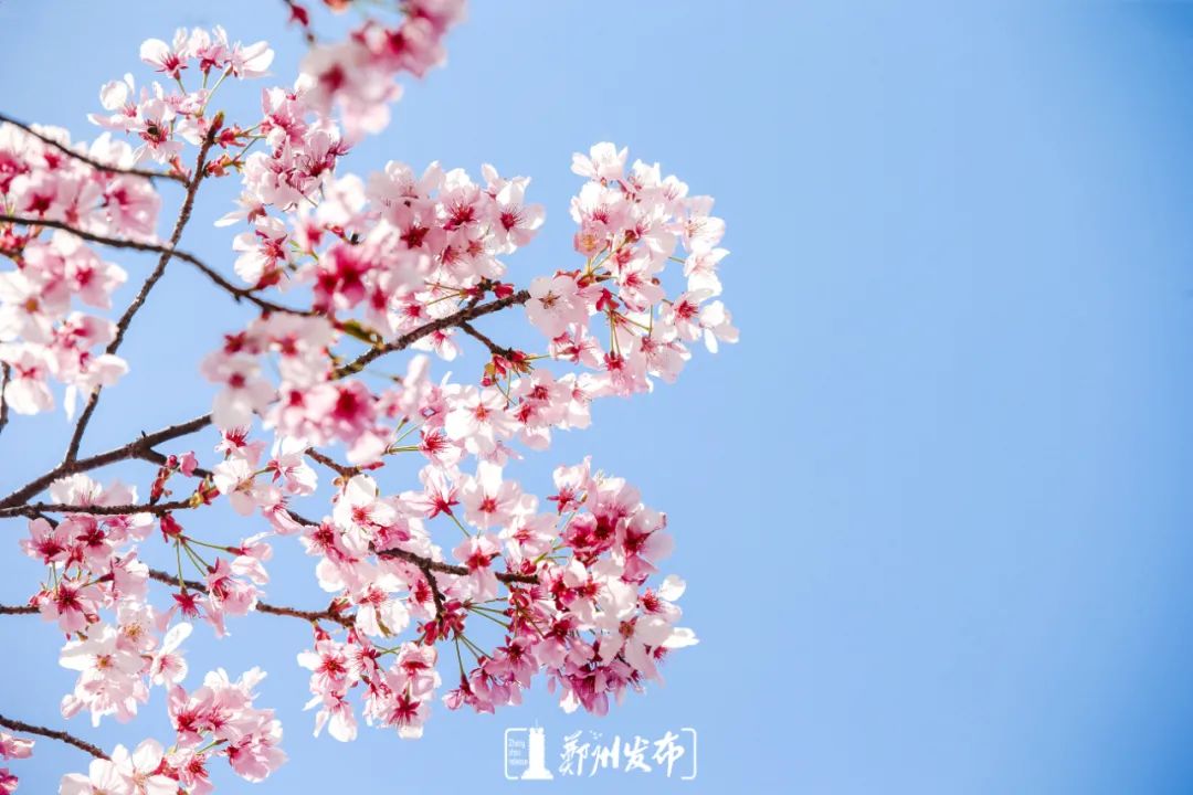 郑州办理消防维保资质和安全评估资质要求