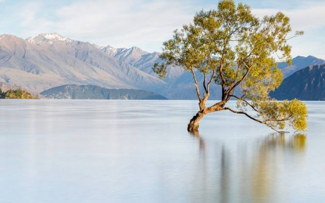 河南开封电力三石油化工三公司股权转让带安许