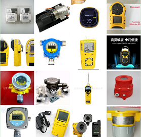 气体检测仪 火焰探测器 动态配气仪设计制造