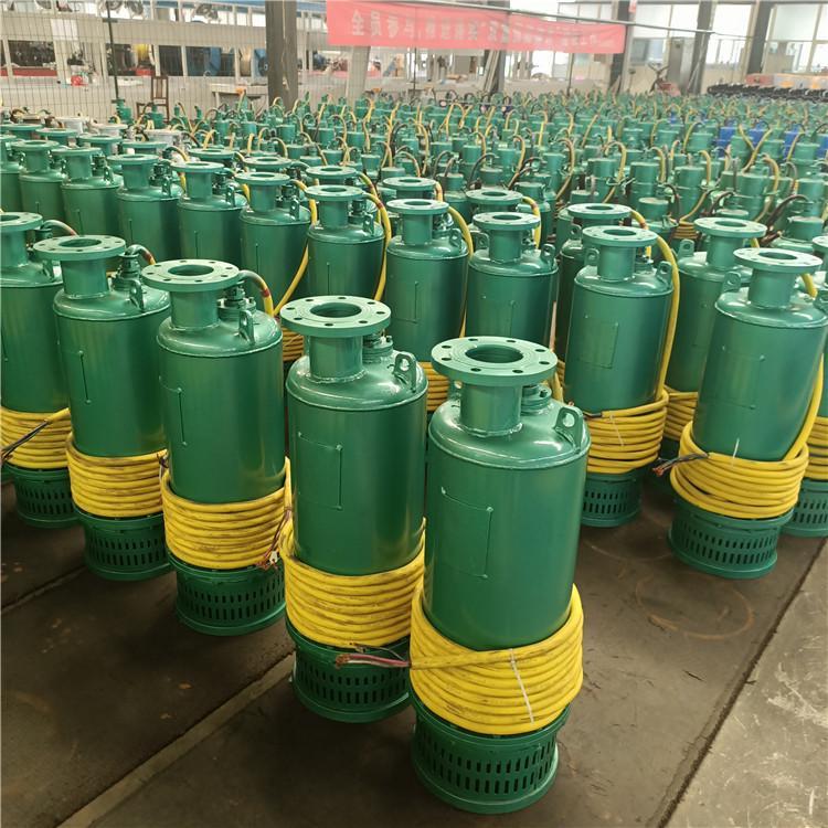 BQS30-130矿用隔爆型排污排沙潜水电泵使用说明