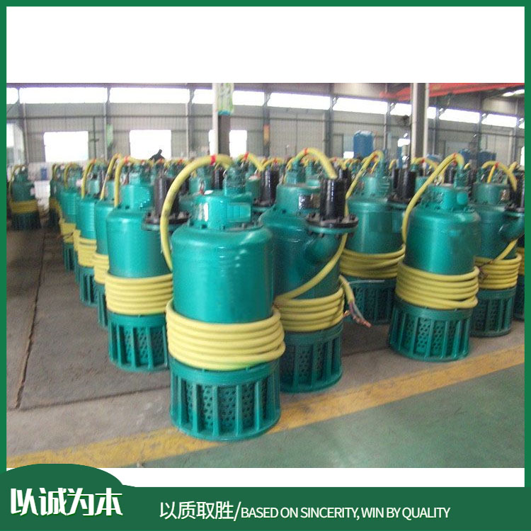 BQS30-15-3/矿用防爆潜水泵 BQS系列排水电泵