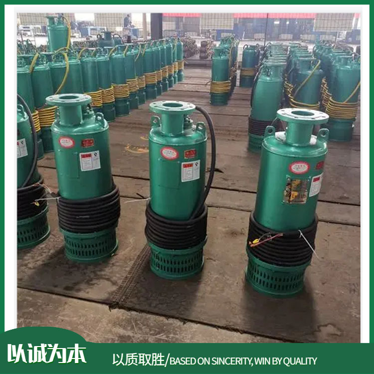 BQS300-40-75/N 隔爆型矿用排沙电泵 排污泵