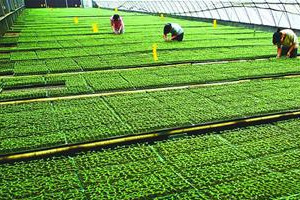 郑州照明一智能化一消防一资质省内转让开封照明一消防一级资质