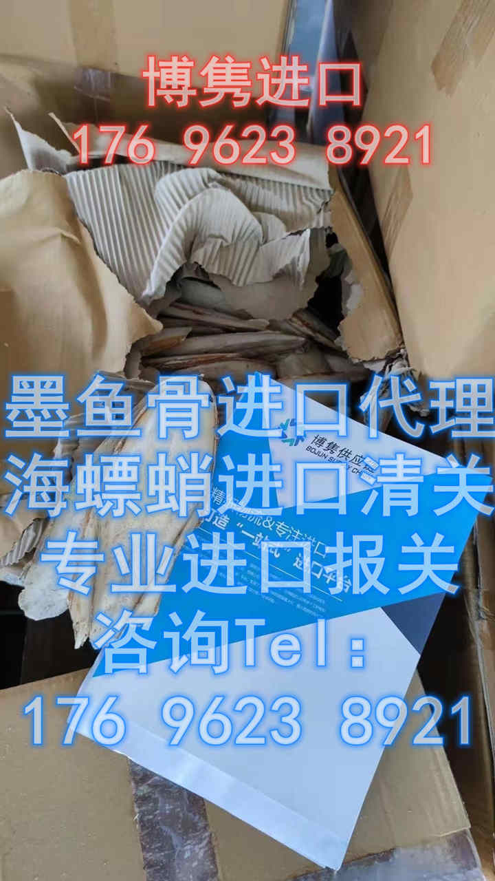 墨鱼骨进口报关代理