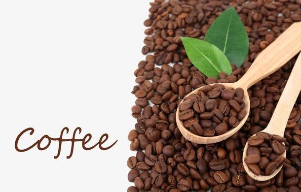 天津咖啡豆进口清关流程及手续分享