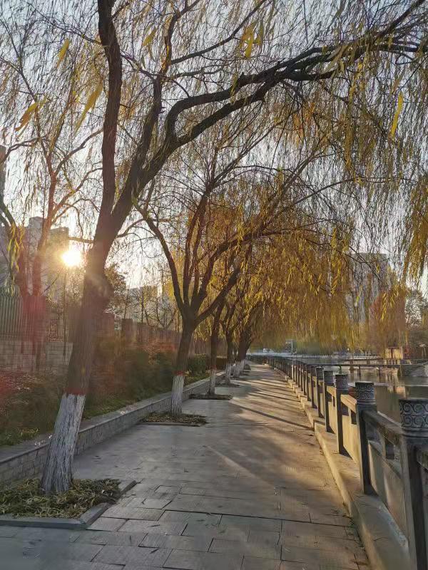 南阳电力三级资质带安许优惠转让公司股权（着急转让价格美丽）