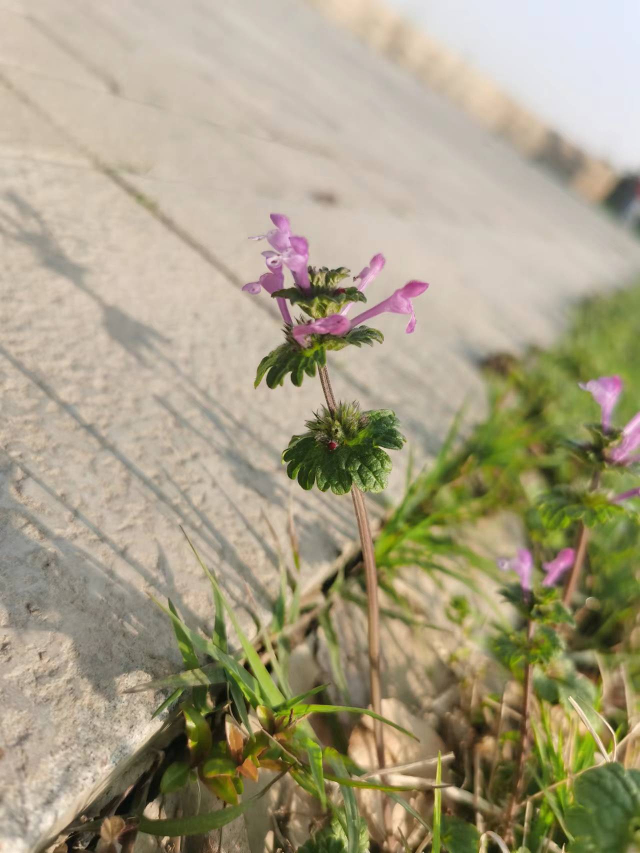 河南郑州电商行业无法取得合规成本的解决思路财务外包清账内审