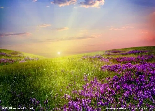 资格批准权下放后郑州房建三级资质收购转让有什么优势新乡房建三级资质转让