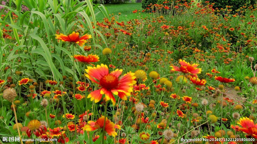 低价处理郑州房建三级市政三级电力二级资质带安许转让