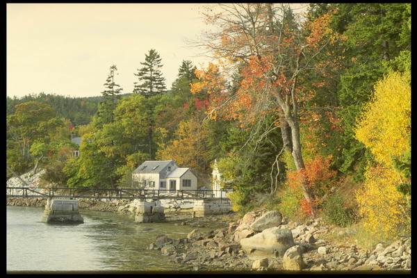 河南房建市政资质转让需要多少费用？