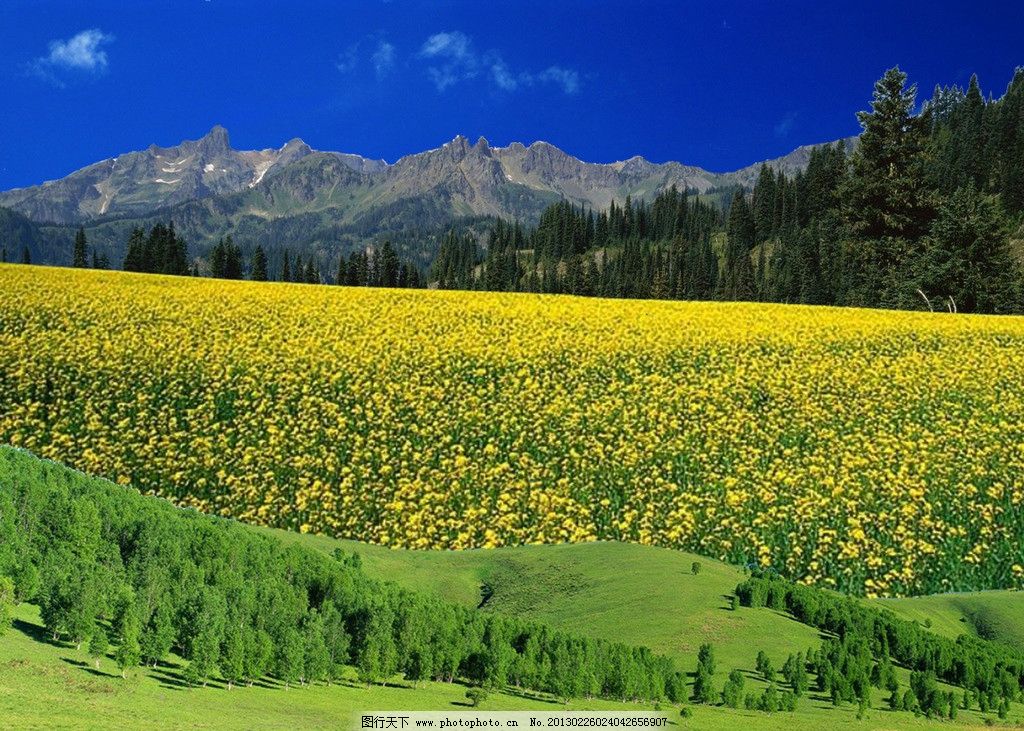 开封地基基础一级电子与智能化一级消防一级装饰装修一级资质转让