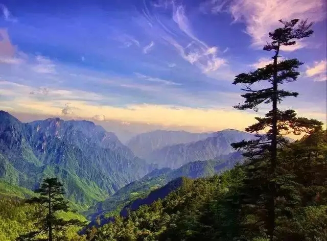 郑州一级消防资质转让河南消防一级资质公司转让的基本简介