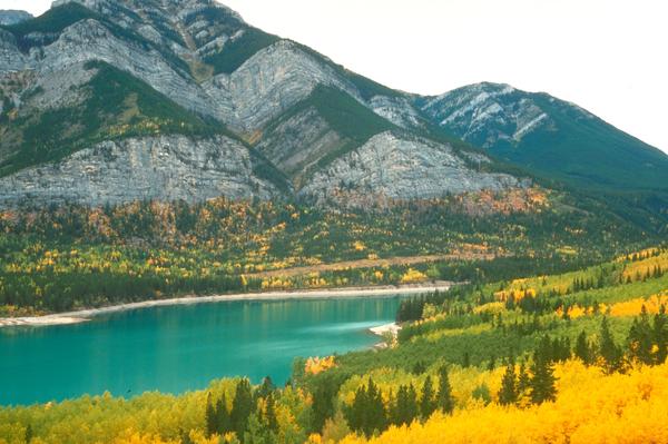 河南开封消防一级资质转让【资质无烦恼?】