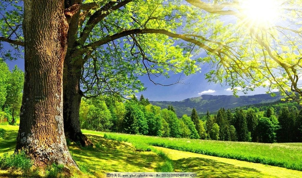 低价转让河南消防一级资质转让郑州消防一级资质公司转让