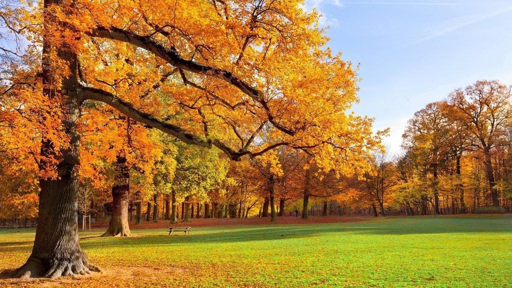 开封/河南电子智能化一级资质转让改革春天