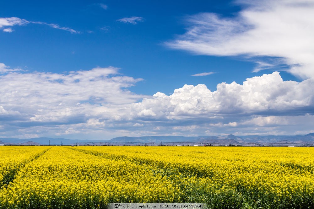 郑州/开封消防工程专业承包一级资质转让【消防企业无经营】