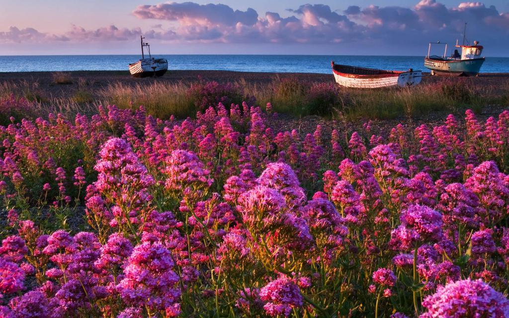 开封/南阳消防二级资质转让(消防专包一级资质出售)