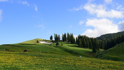 河南郑州房屋建筑工程三级总承包资质代办（多种方案选择）
