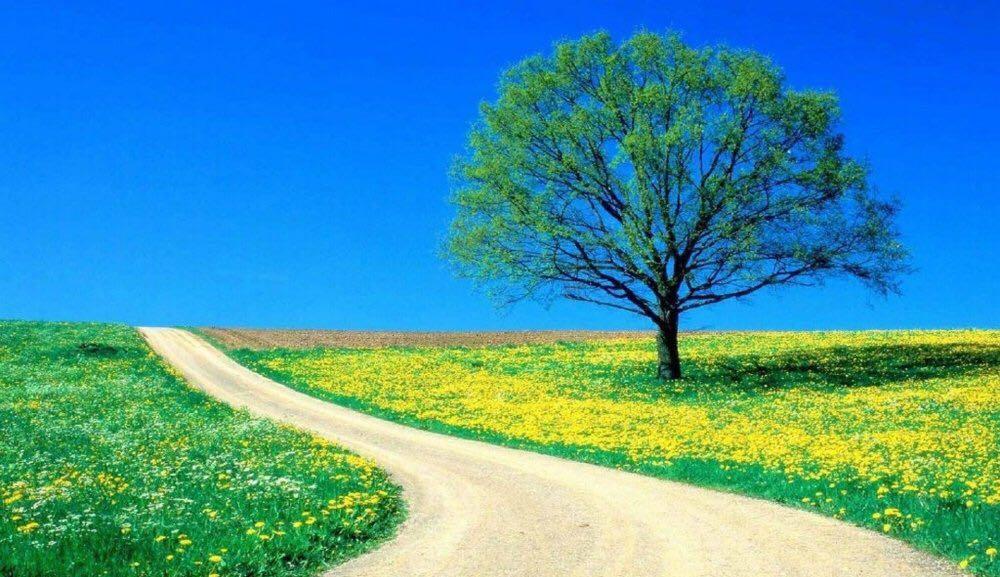 郑州/开封市政三级资质代办市政三级资质转让市政三级资质延期