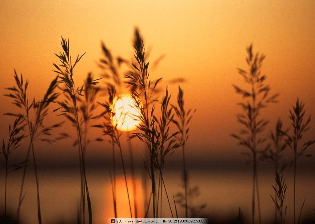 开封/郑州低价处理市政三级公路三级水利三级劳务资质转让《开心每一天》​‌‌