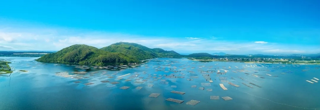 已出函机电安装一级资质转让河南消防一机电安装专包一级资质平移转让！