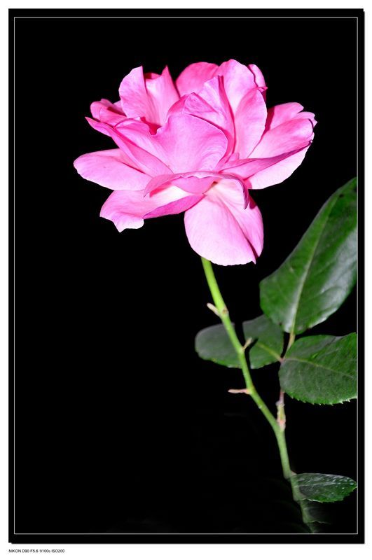 郑州开封建筑企业劳务外包帐务处理-财务外包服务优势