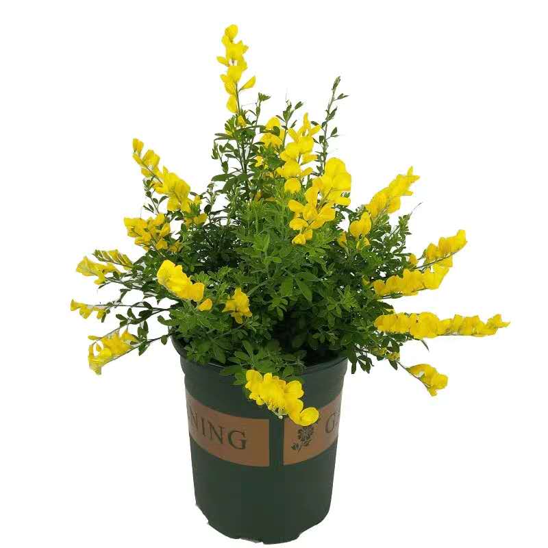 郑州生产企业工资库存财务外包有哪些优势