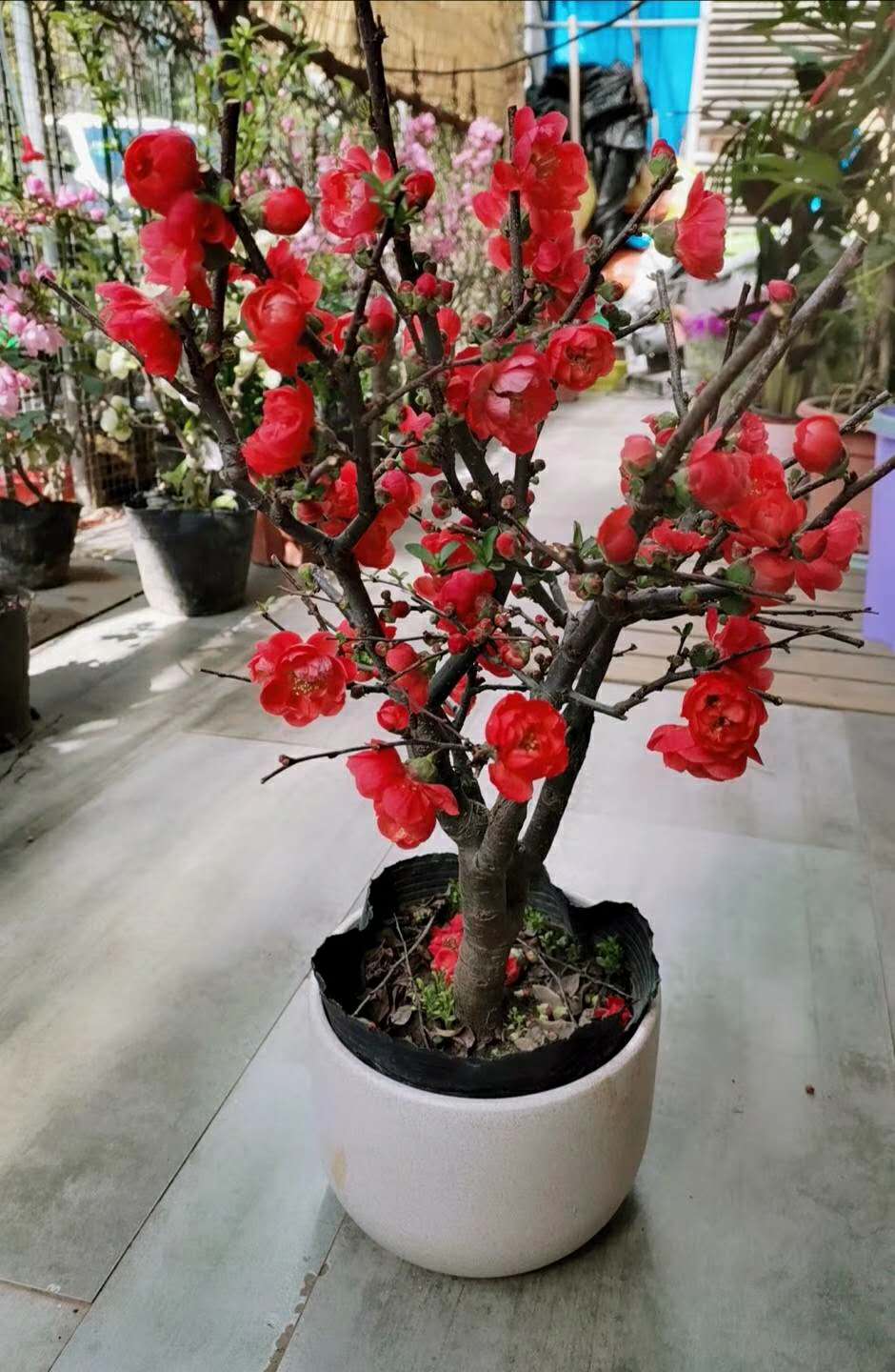 郑州生产企业建筑企业财务合规-财务外包