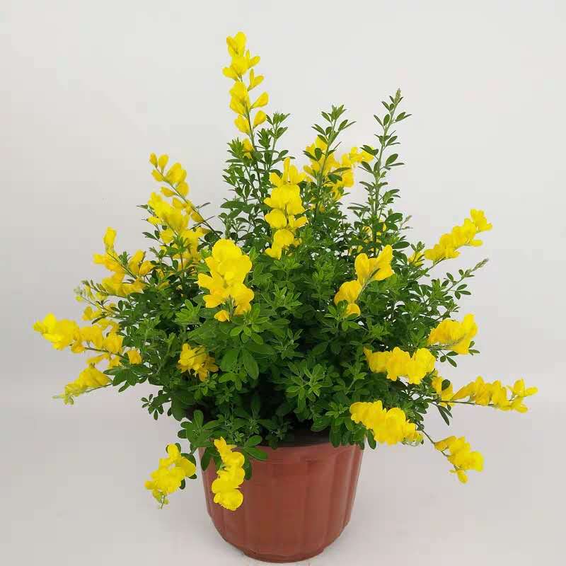 河南郑州开封生产制造企业财务外包--精细化核算