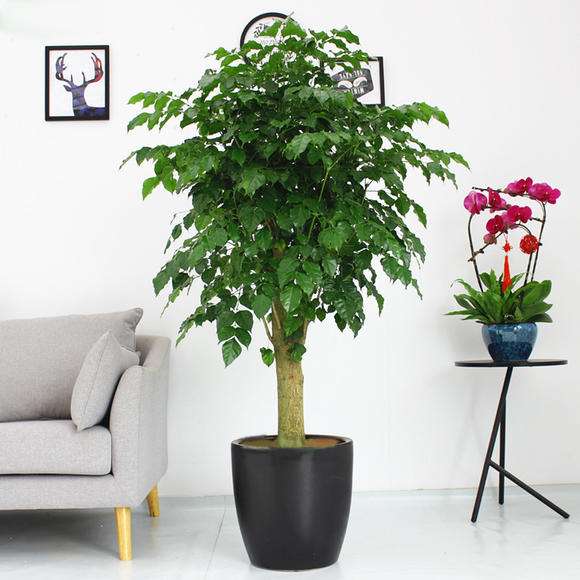 河南悦之达财税分享财务外包的优点，建筑企业项目财务外包