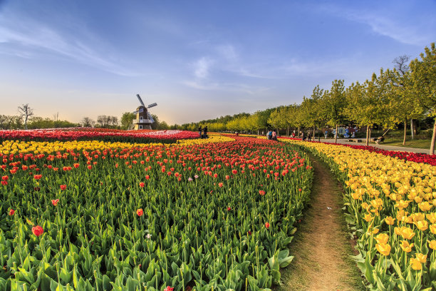 1641455846973734.jpg t01256398bf50a11b52.jpg