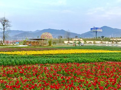 1641459790399768.jpg t01ec35552e526f76a4.jpg