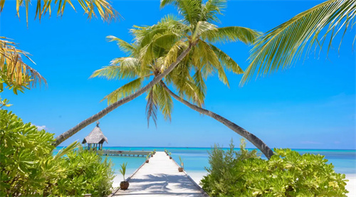 郑州商贸企业面临的财务风险和财务常见问题分析