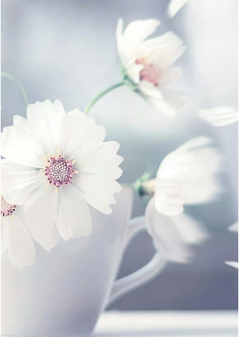 不可多得的好资源河南房建二级资质平移转让，过户一个月