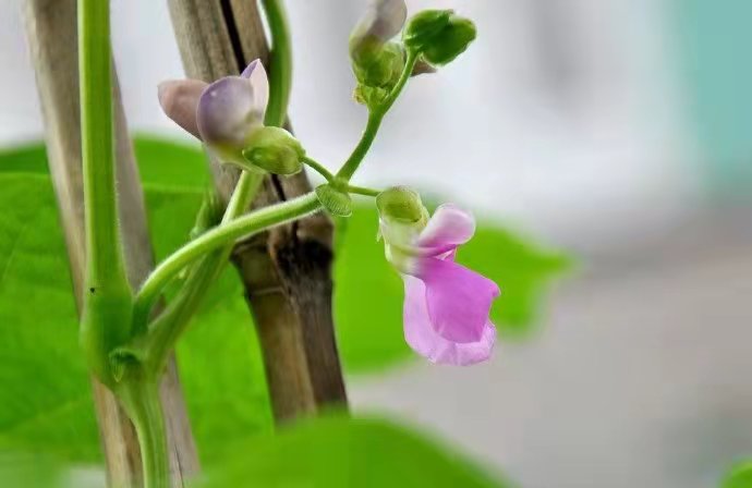 在新密办理防水防腐保温二级资质和劳务分包大概需要的费用