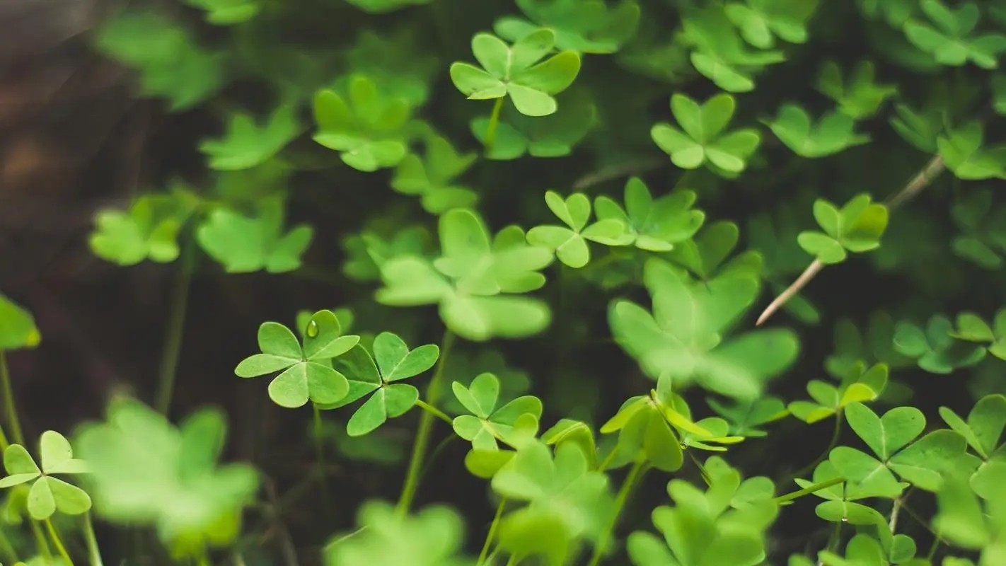 郑州“房建总包二级”资质分立转让河南“市政二级”资质