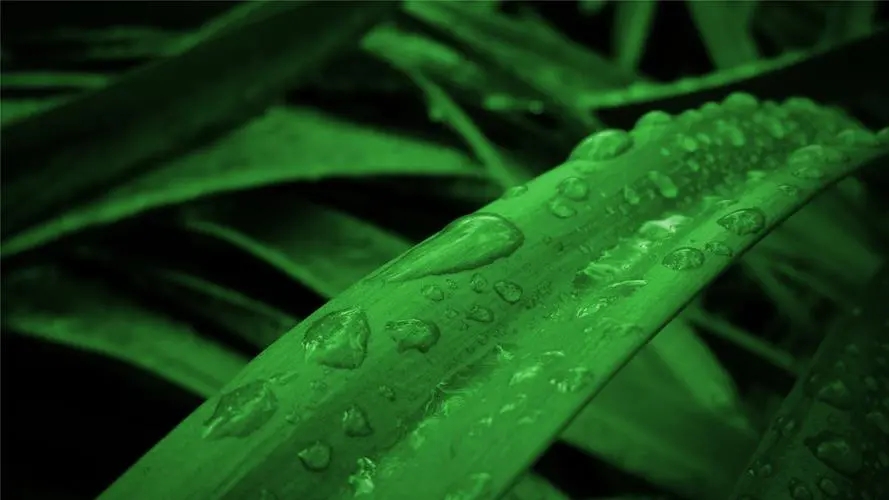 河南/郑州/开封/南阳”钢构二级“资质”钢构三级“资质分立整体转让