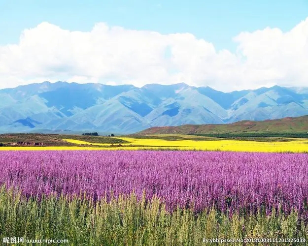 开封装修二级幕墙二级消防二级资质单独转让没有安许