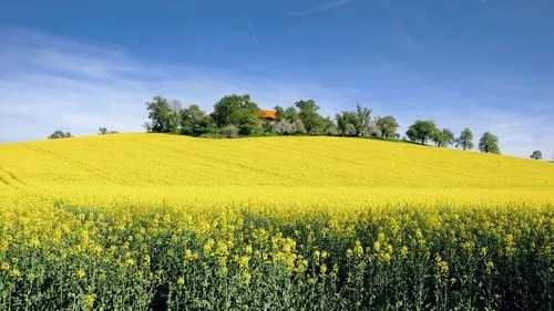南阳转让水利总包三级资质无安许转让驻马店水利总包二级资质