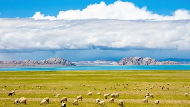 郑州贸易行业财务外包，河南个体户核定征收