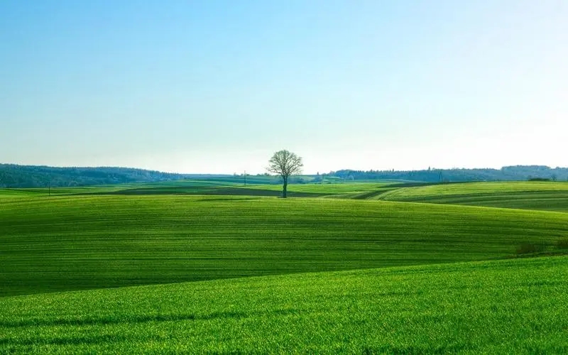 现在接手郑州带安许的房建三级资质需要多少费用