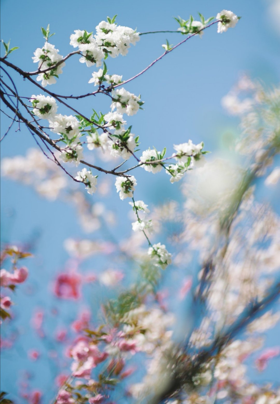 南阳建筑二级资质转让，南阳市建筑工程三级资质转让南阳水利资质转让