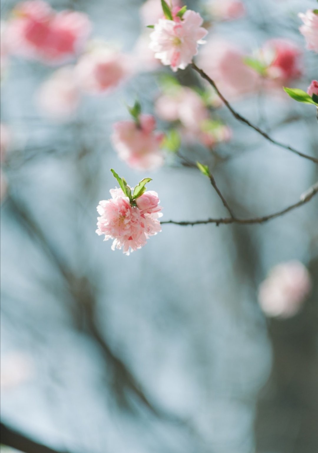 南阳市消防二级资质转让南阳消防电力资质转让