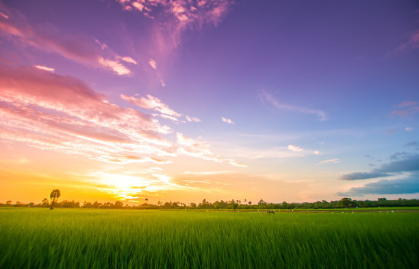 郑州市市政资质转让郑州市市政三级资质转让办理