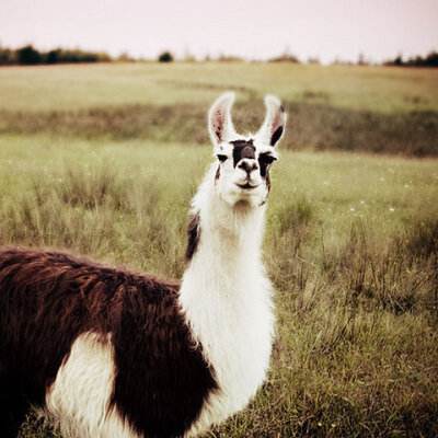 郑州市二级房建资质转让新乡水利水电资质转让