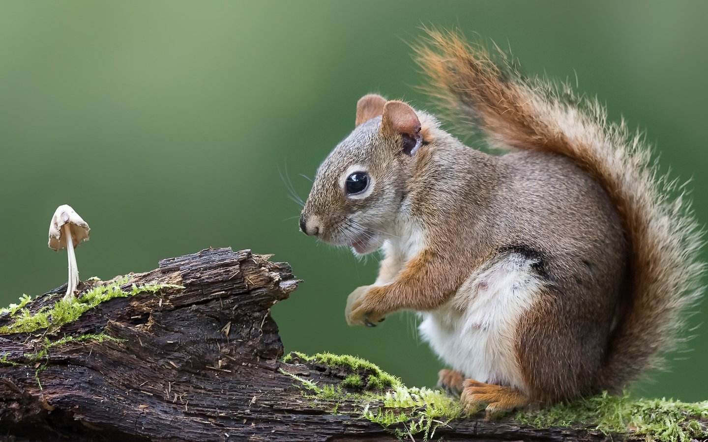 开封市有地基二级资质转让河南地基基础一级资质转让