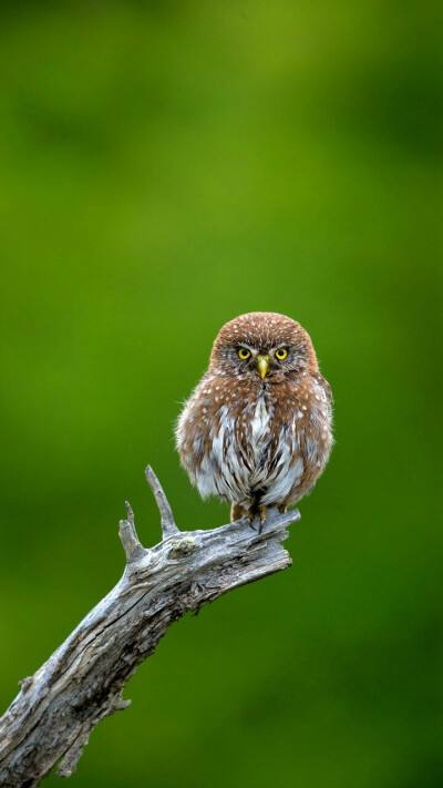 郑州市市政三级资质转让郑州三级资质转让