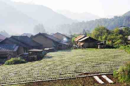 平顶山消防工程一级资质，装修装饰一级资质转让