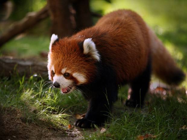 开封市市政三级资质转让办理开封市地基三级资质转让