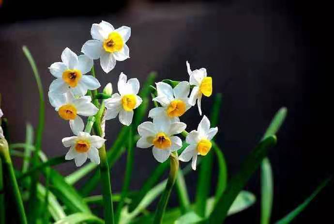 河南安阳市房建二级市政二级资质转让